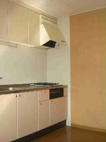 Kitchen. Is priceless and the ventilation fan with a kitchen a pale white.
