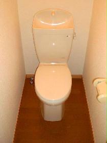 Toilet. It is a simple toilet flooring.