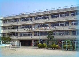 Primary school. To South Elementary School 320m