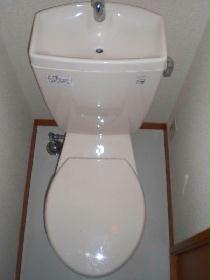 Toilet. Simple toilet and valuable white.