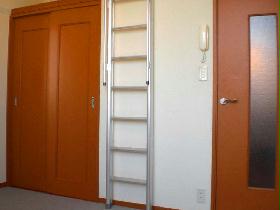 Living and room. Ladder and a huge closet leading to the loft. 