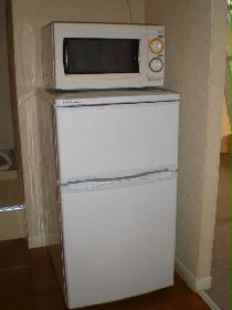 Other. Microwave and refrigerator comes with.