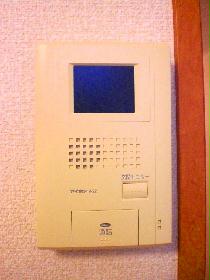 Other. Intercom with monitor (color type)