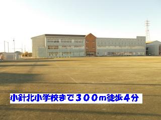 Primary school. Kobari 300m to North elementary school (elementary school)