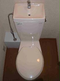 Toilet. Toilet inconspicuous dirt flooring specification.