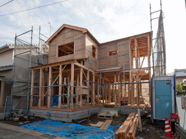 Local appearance photo. 2013 / 11 / 01 shooting 