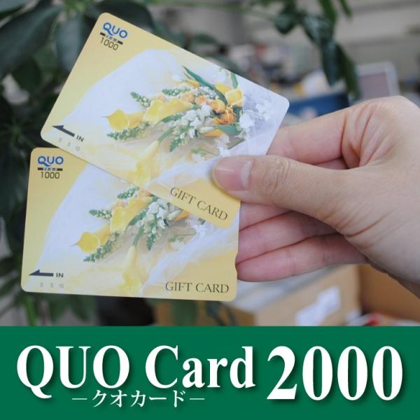 Present. Only to customers who call or document request, Get the Kuokado of 10,000 yen for those of every month 10 pairs ☆ Double chance! "I will present the Kuokado of 2,000 yen to all customers who fill out to visit us We questionnaire with your family" (I will consider it as a one-time set-like)