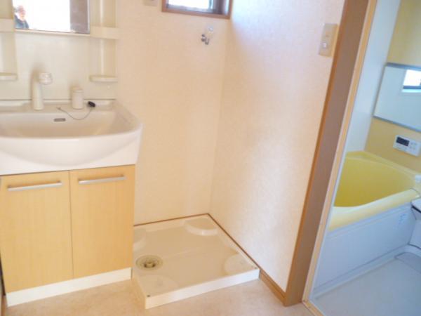 Wash basin, toilet. With vanity basin shower