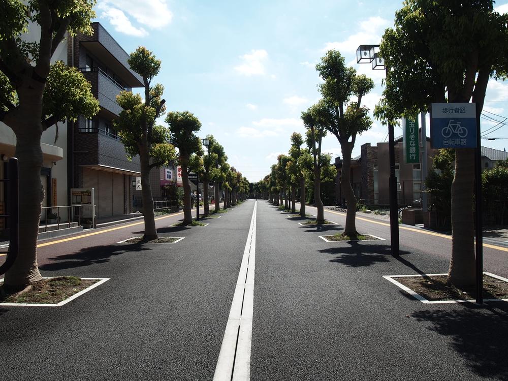 Streets around. Tree-lined street that follows from 560m Station to Tobu Sunlight Sugito Takanodai