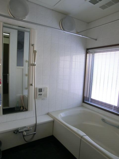 Bathroom. Indoor (11 May 2013) Shooting
