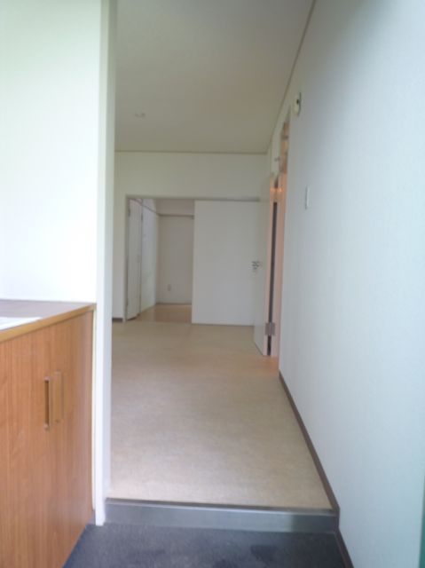 Other room space. Entrance is refreshing because there is also a cupboard. 
