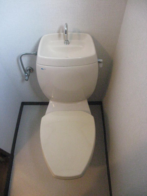 Toilet. Cleaned toilet