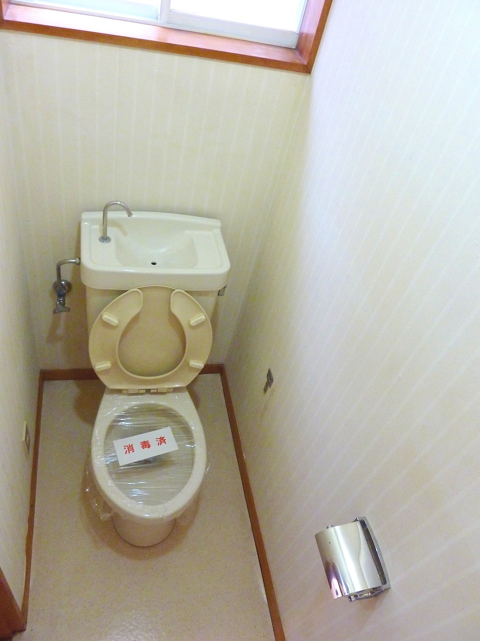 Toilet. It will be Western-style flush toilet.