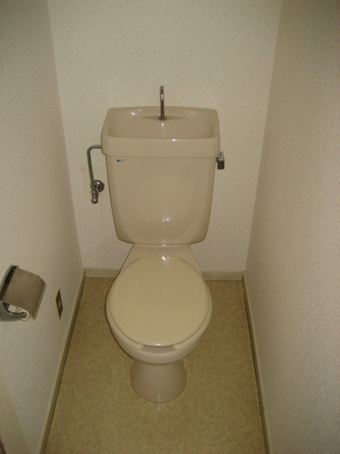 Toilet. It is a simple toilet