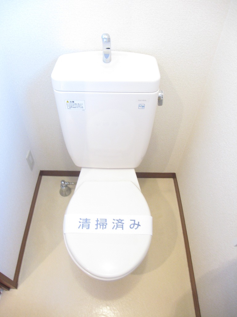 Toilet. Cleaned toilet
