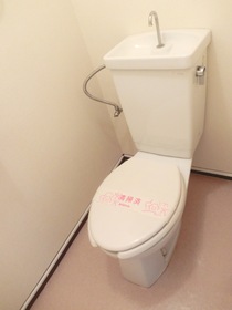 Toilet. Same type