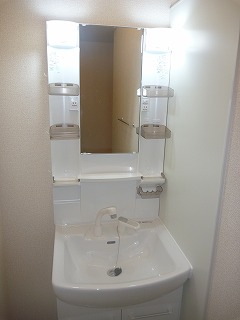 Washroom. Separate vanity is glad items.