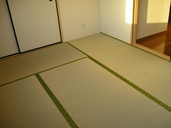 Non-living room. Tatami mat was replaced. Sliding door ・ Sliding door, It was replaced.