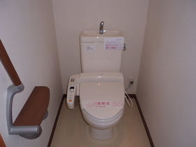 Toilet. With cleaning toilet seat