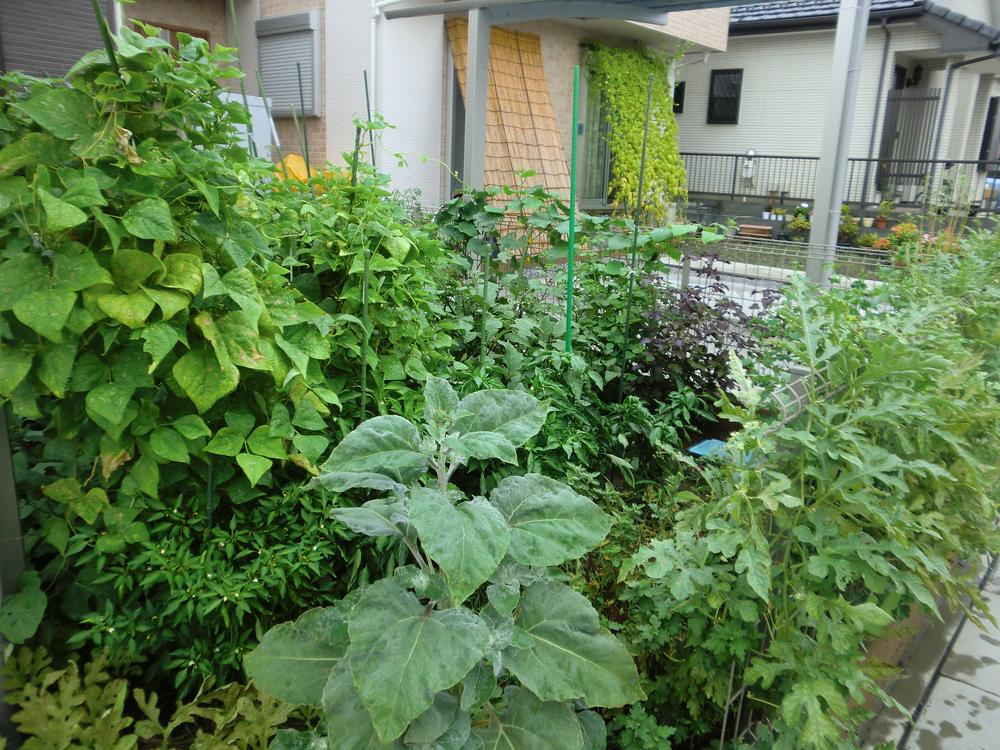 Garden. Not need super in the home garden. There are also many voices of joy from residents. 