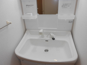 Washroom. With shampoo dresser