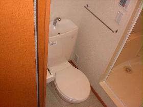 Toilet. Flush toilet. Also comes with towel