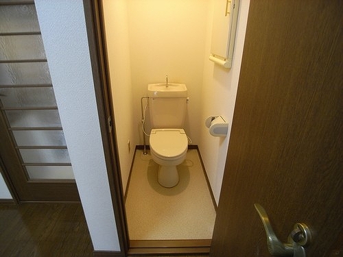 Other. Toilet