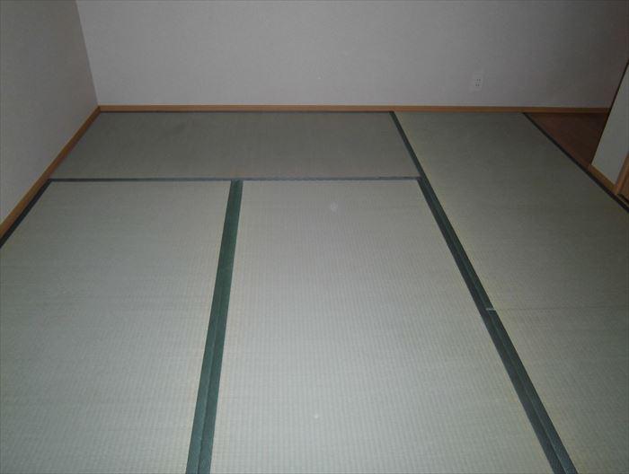Non-living room. Tatami are with lush!