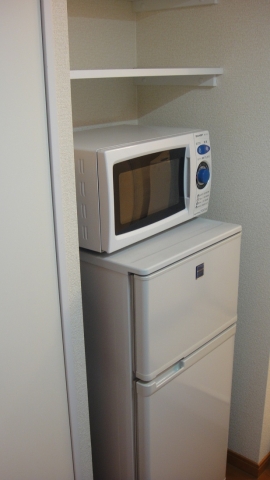 Other. microwave, Also it comes with a refrigerator.