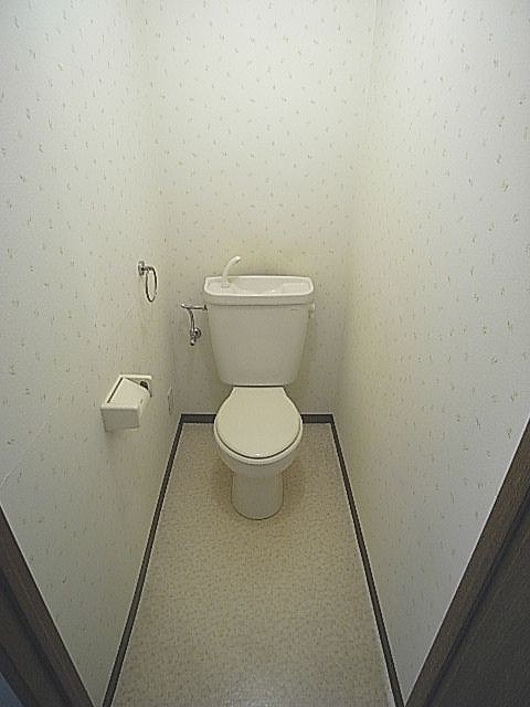 Other. Spacious toilet