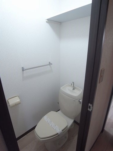 Toilet. Also it comes with a handy shelf for storage