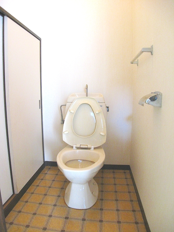 Toilet. Spacious toilet.