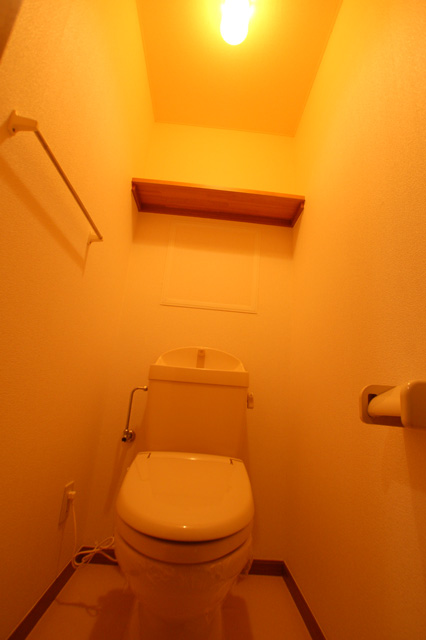 Toilet. Comfortable Washlet Warm toilet seat even in winter