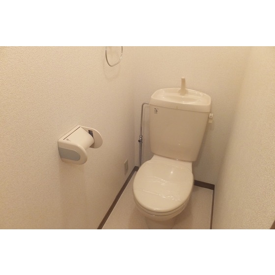 Toilet. The photograph is a separate room.