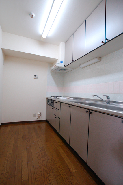 Kitchen. Spacious independent kitchen You Hakadori storage also rich dishes