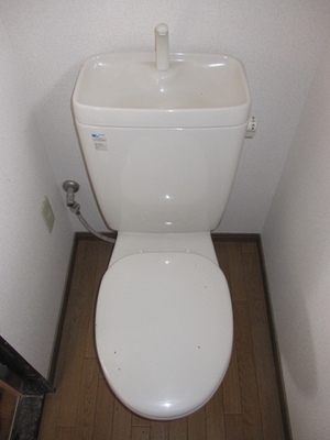 Toilet. Toilet outlet are installed