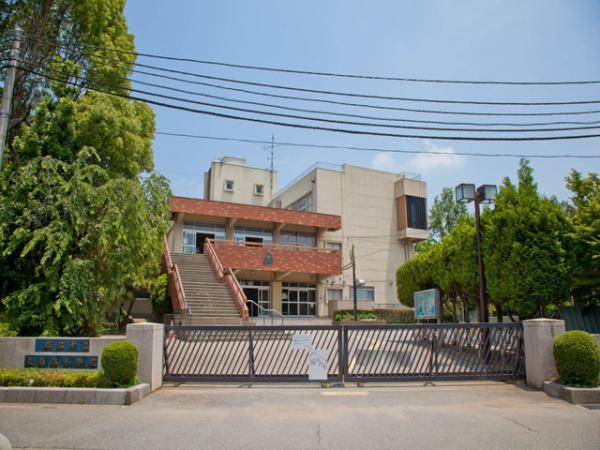 Primary school. 300m up to elementary school Koshigaya Municipal Higashikoshigaya Elementary School