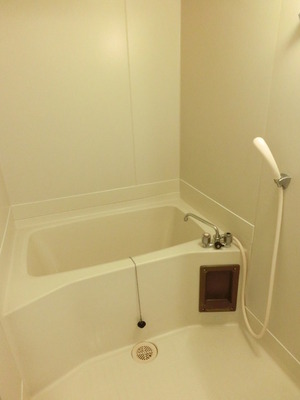 Bath. Bathroom dryer with