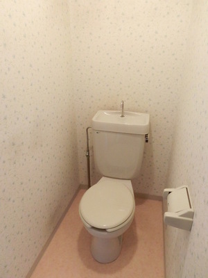 Toilet. Toilet