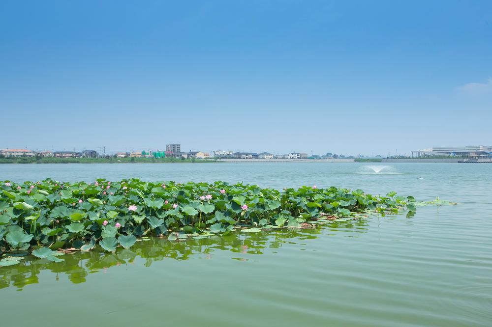 Streets around. 580m water until large Sagami detention pond, Green, Wind. Relax in the rich natural environment.