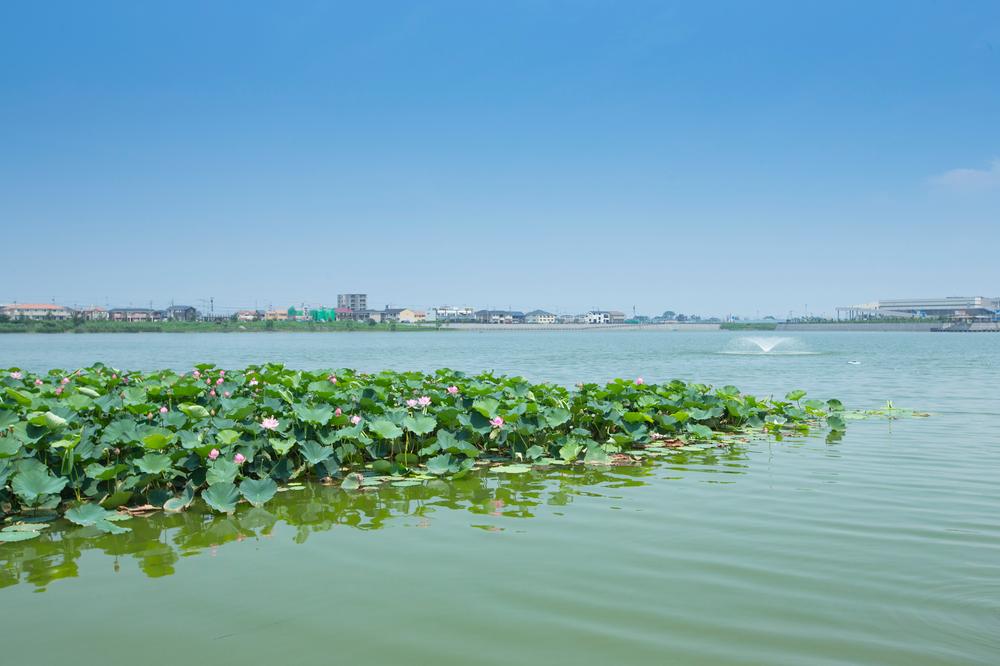 Streets around. 580m water until large Sagami detention pond, Green, Wind. Relax in the rich natural environment. 