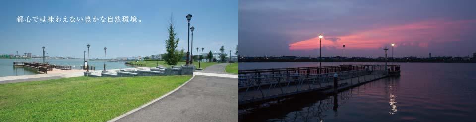 Other local. Walking or jogging while feeling the moisture of the lake in the skin, Such as cycling can enjoy "Lakeside Walk". It is a symbol of the city "lake" (large Sagami regulating pond / About 600m) is, Majestic oasis with about three times the area of Ueno Shinobazu Pond.