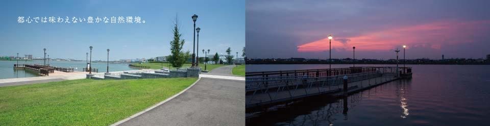 Other local. Walking or jogging while feeling the moisture of the lake in the skin, Such as cycling can enjoy "Lakeside Walk".  It is a symbol of the city "lake" (large Sagami regulating pond / About 600m) is, Majestic oasis with about three times the area of ​​Ueno Shinobazu Pond. 