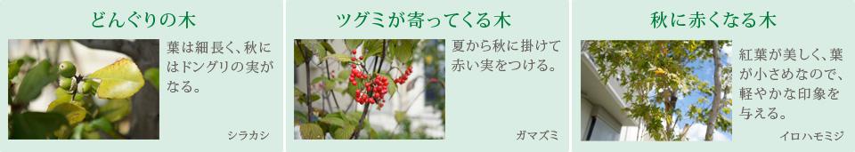Other. Planting plan that you can select a "narrative of some trees."  [Ensure districts greening rate of 30% or more] To help you get in contact with the trees have a love, It has a naming trees. Also, Is continuously green garden and the front door, So as to be beautiful cityscape