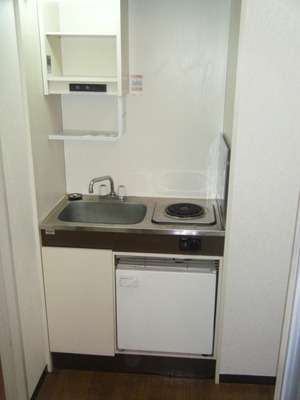 Kitchen. Mini-kitchen with refrigerator