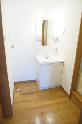 Washroom. Independent wash basin and washing machine inside the room