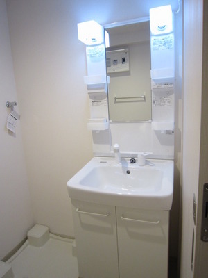 Washroom. Bathroom Vanity