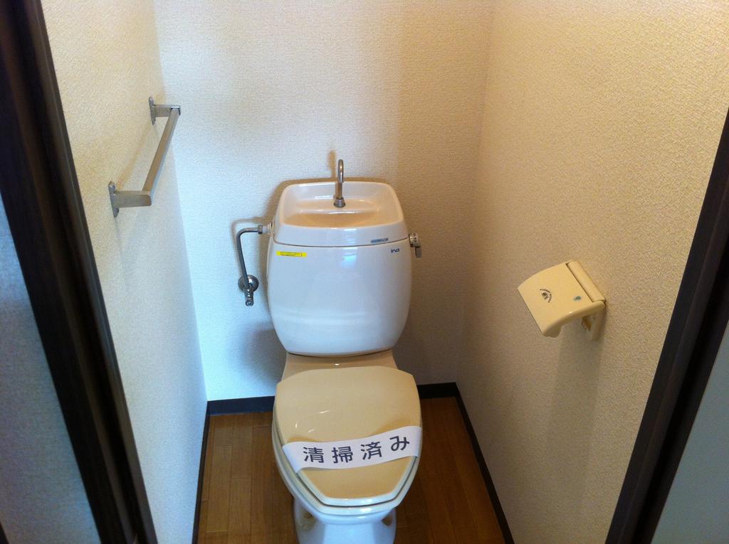Toilet. The same type by the room