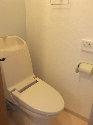 Toilet. The photograph is another room