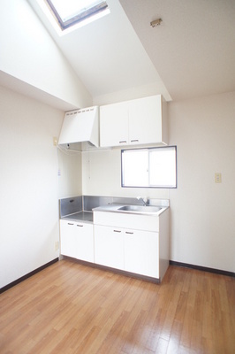 Kitchen. You can ensure there is a skylight brightness